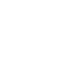 Brain Mining Lab